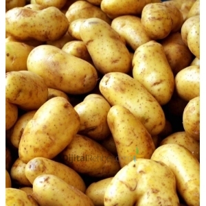 Kağıthane Afyon Patates